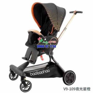 273656641 2173902696098282 1409157828136092673 N