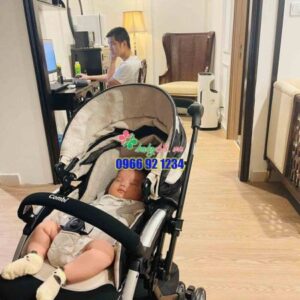 273710493 4833972976716772 1332035874491030141 N