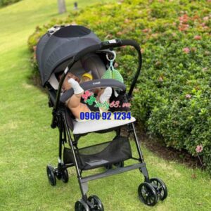 274193719 469924501492474 6786064314106299983 N