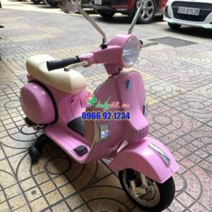 260681075 4602083926575607 4230051440698763858 N