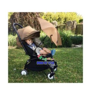 115930286 3401513046574073 6200690027792168238 N