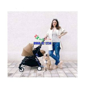 115990941 3401513023240742 8507724246473363121 N