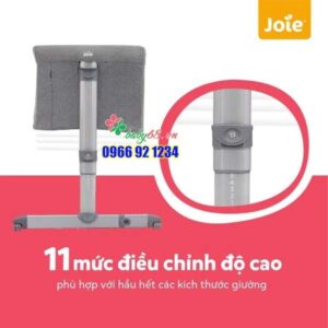 Roomie Ct 05 140bca5401c641d0848