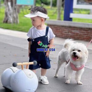 379570648 750899013716518 3083991131239955995 N