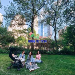 332839757 937426907272334 4892540345983043661 N 500x500