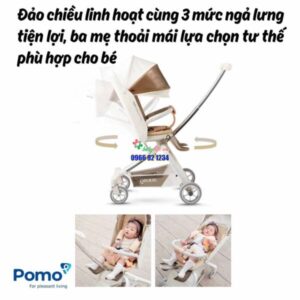 397883944 717444937072477 8092747476382723325 N